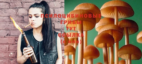 таблы Армянск
