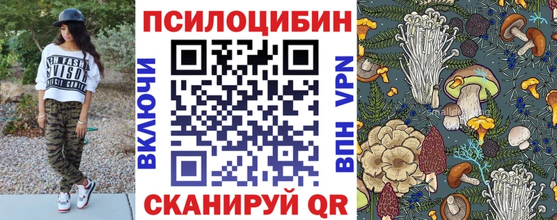 как найти наркотики  Чкаловск  darknet формула  Галлюциногенные грибы мицелий 
